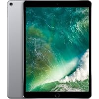 Amazon.com : Apple iPad Pro (11-inch, Wi-Fi, 64GB) - Silver (1st